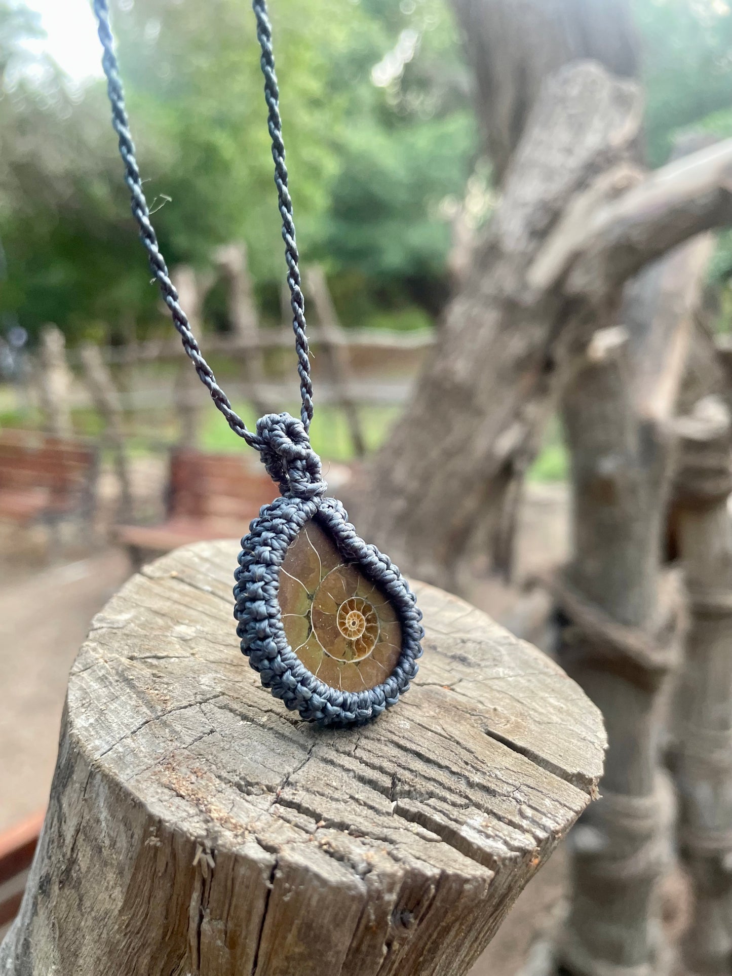 Mara | Ammonite Macrame Necklace