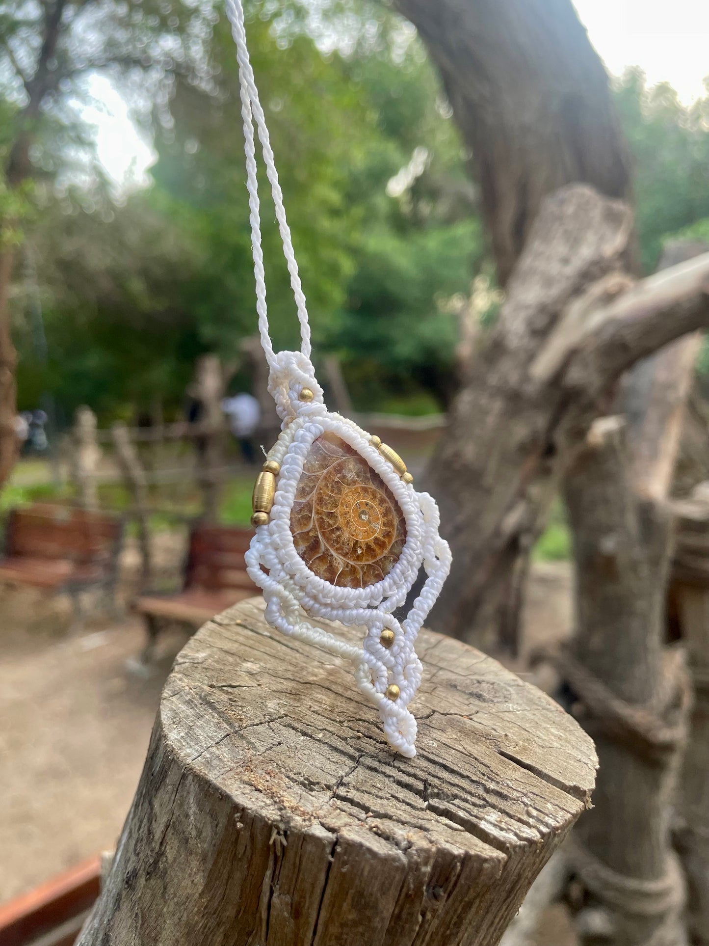 Lina | Ammonite Macrame Necklace