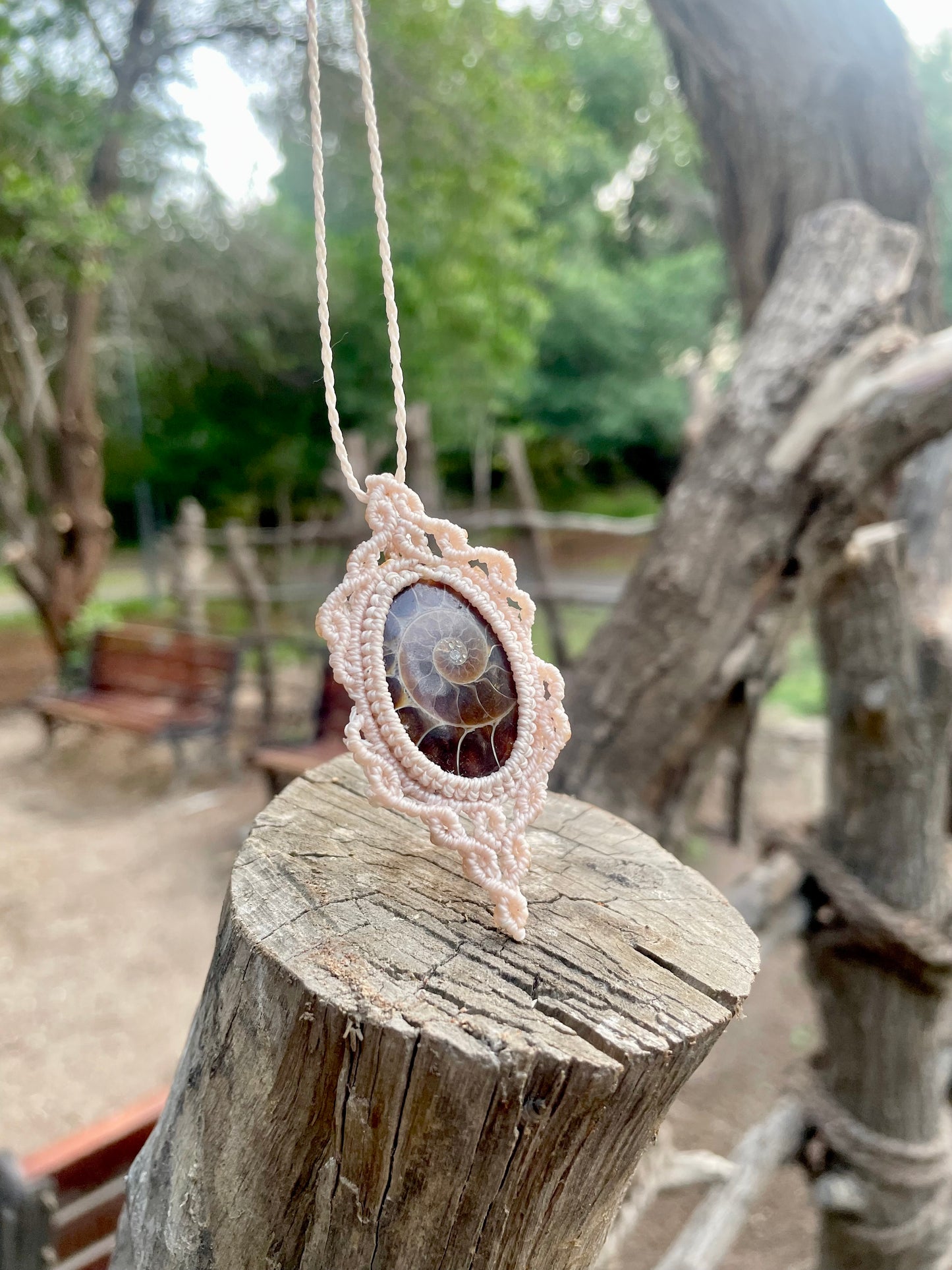 Rhea | Ammonite Macrame Necklace