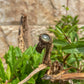 Travel Collection: Verdant | Prehnite Macrame Ring