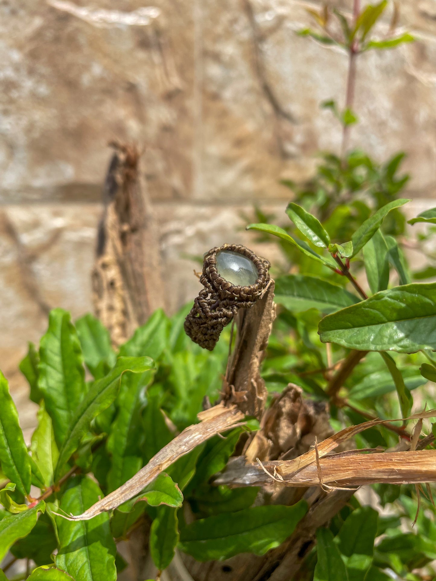 Travel Collection: Verdant | Prehnite Macrame Ring