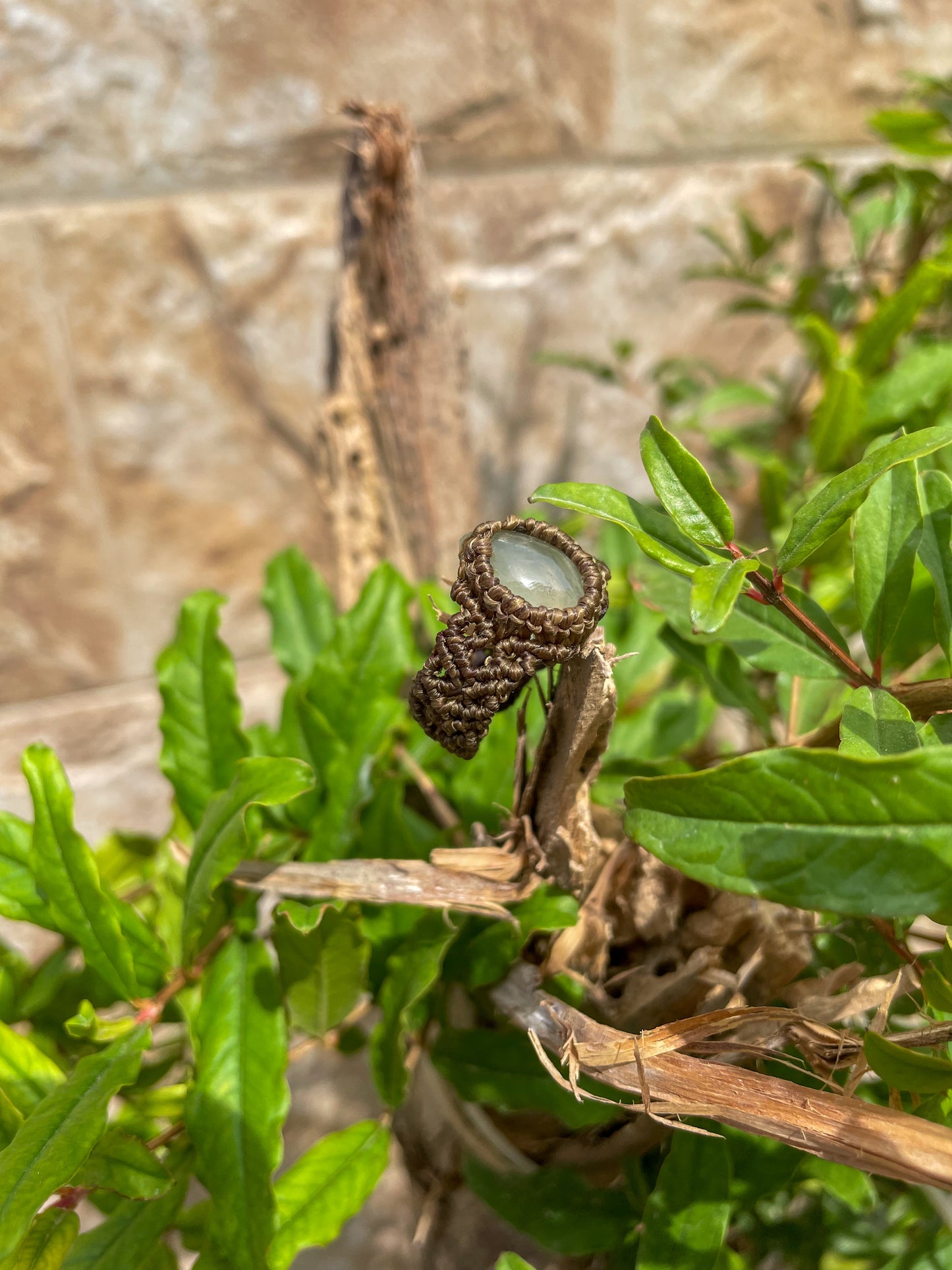 Travel Collection: Verdant | Prehnite Macrame Ring