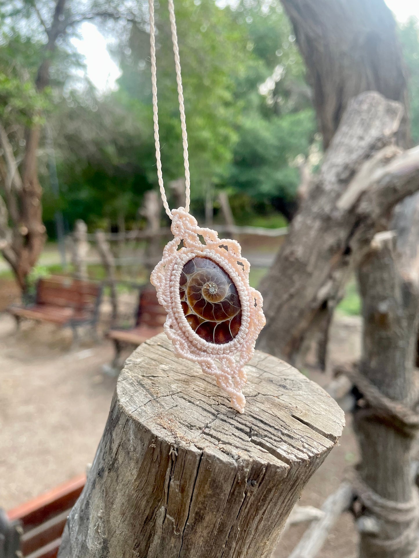 Rhea | Ammonite Macrame Necklace