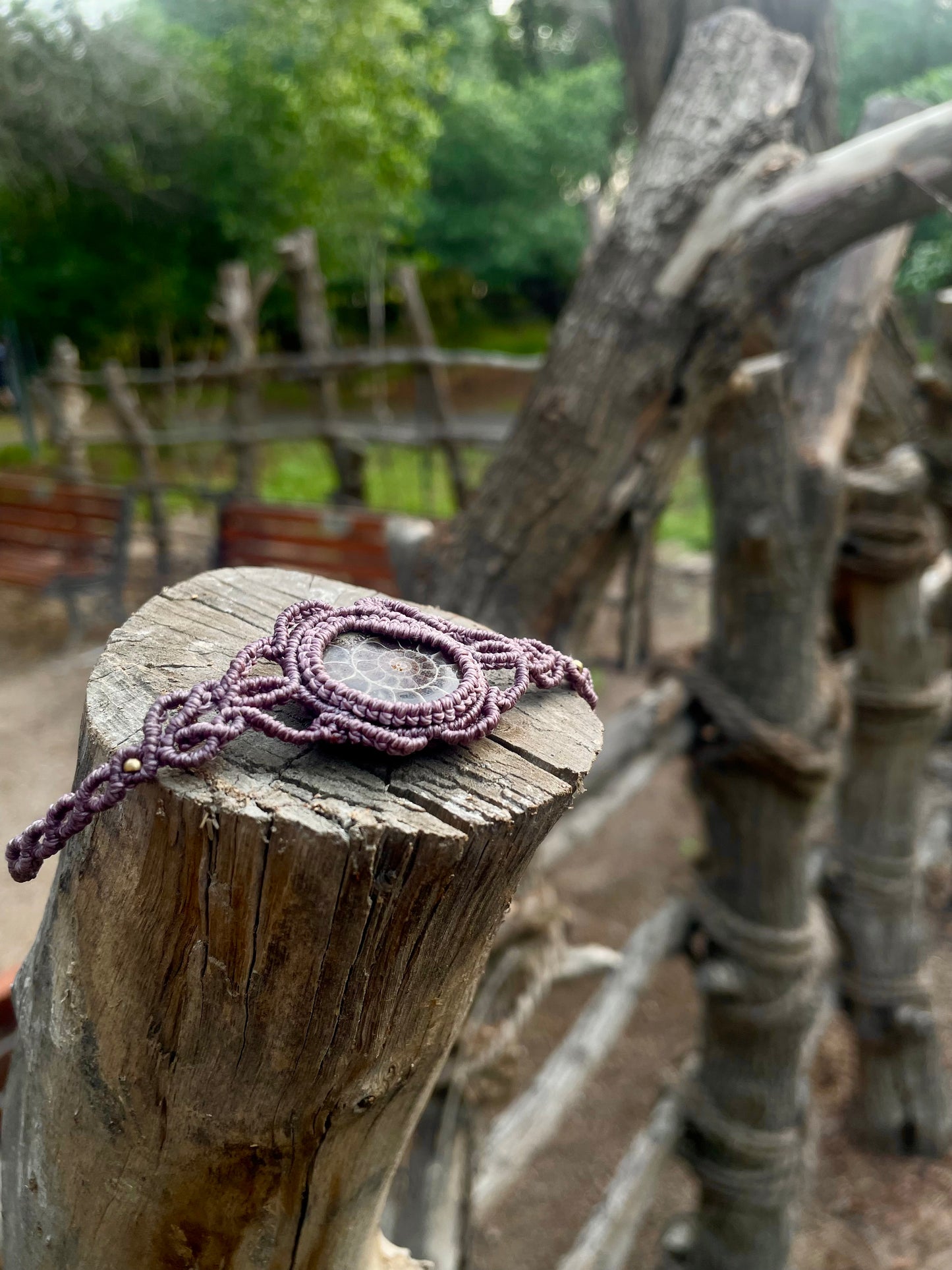 Lila | Ammonite Macrame Bracelet