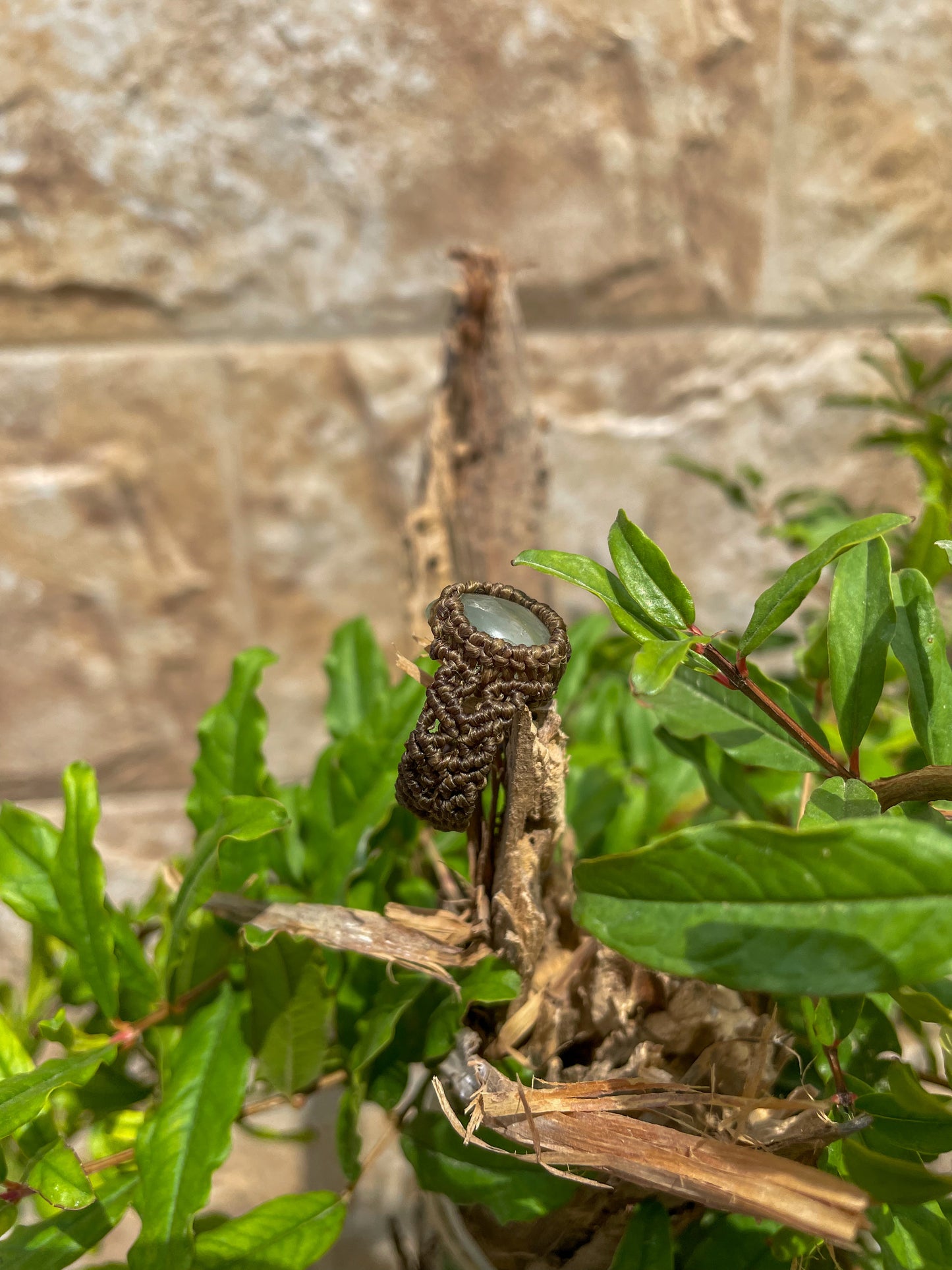 Travel Collection: Verdant | Prehnite Macrame Ring