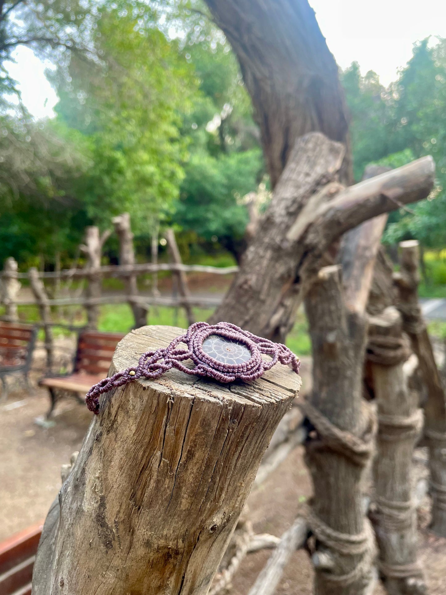 Lila | Ammonite Macrame Bracelet
