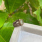 Travel Collection: Verdant | Prehnite Macrame Ring