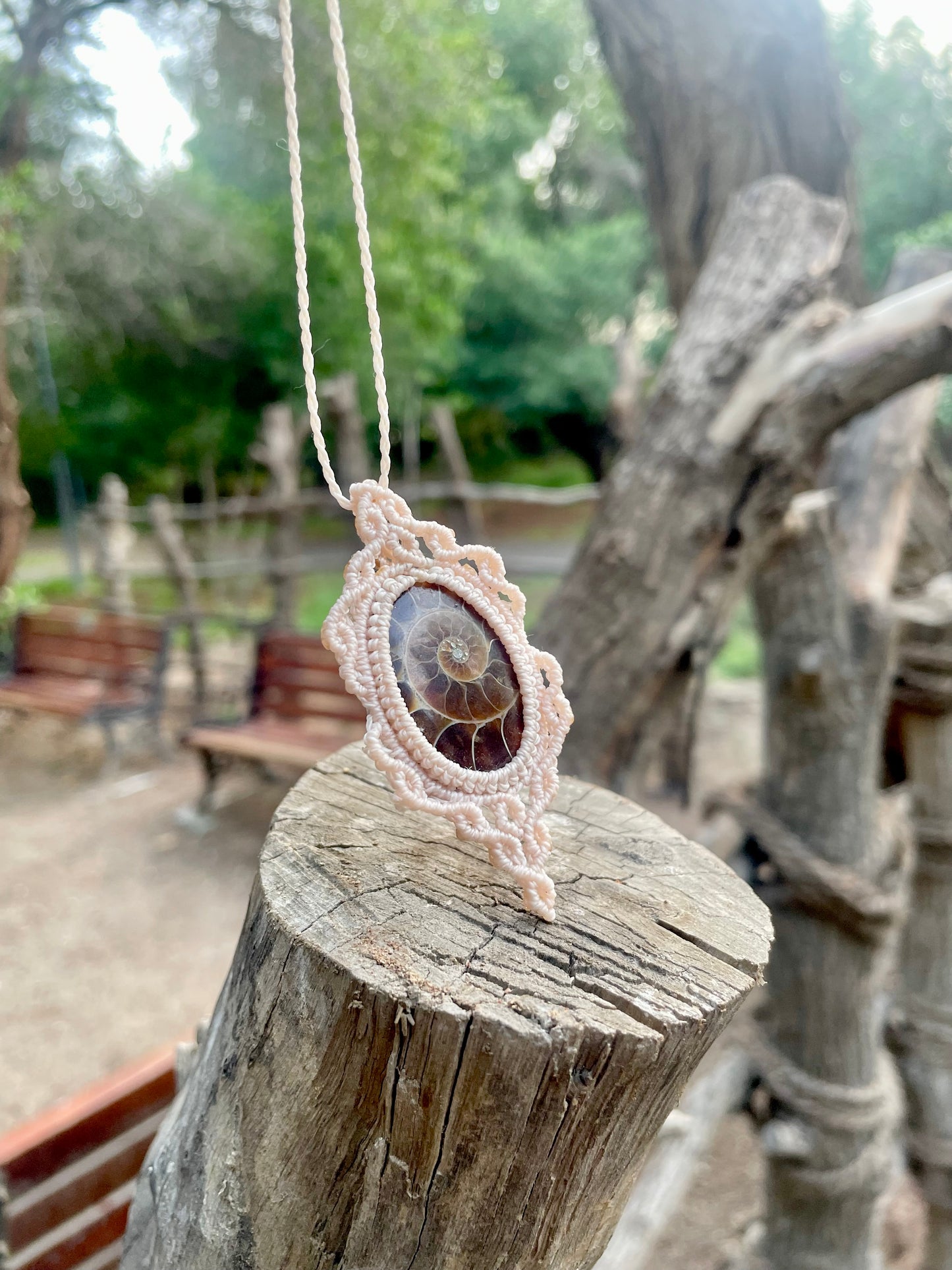 Rhea | Ammonite Macrame Necklace