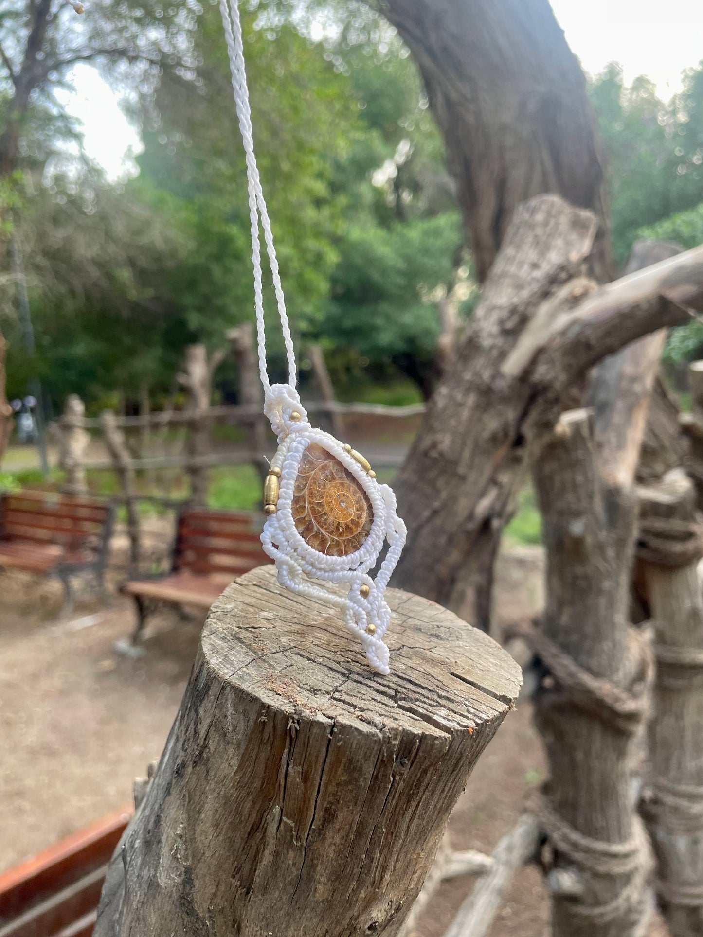 Lina | Ammonite Macrame Necklace