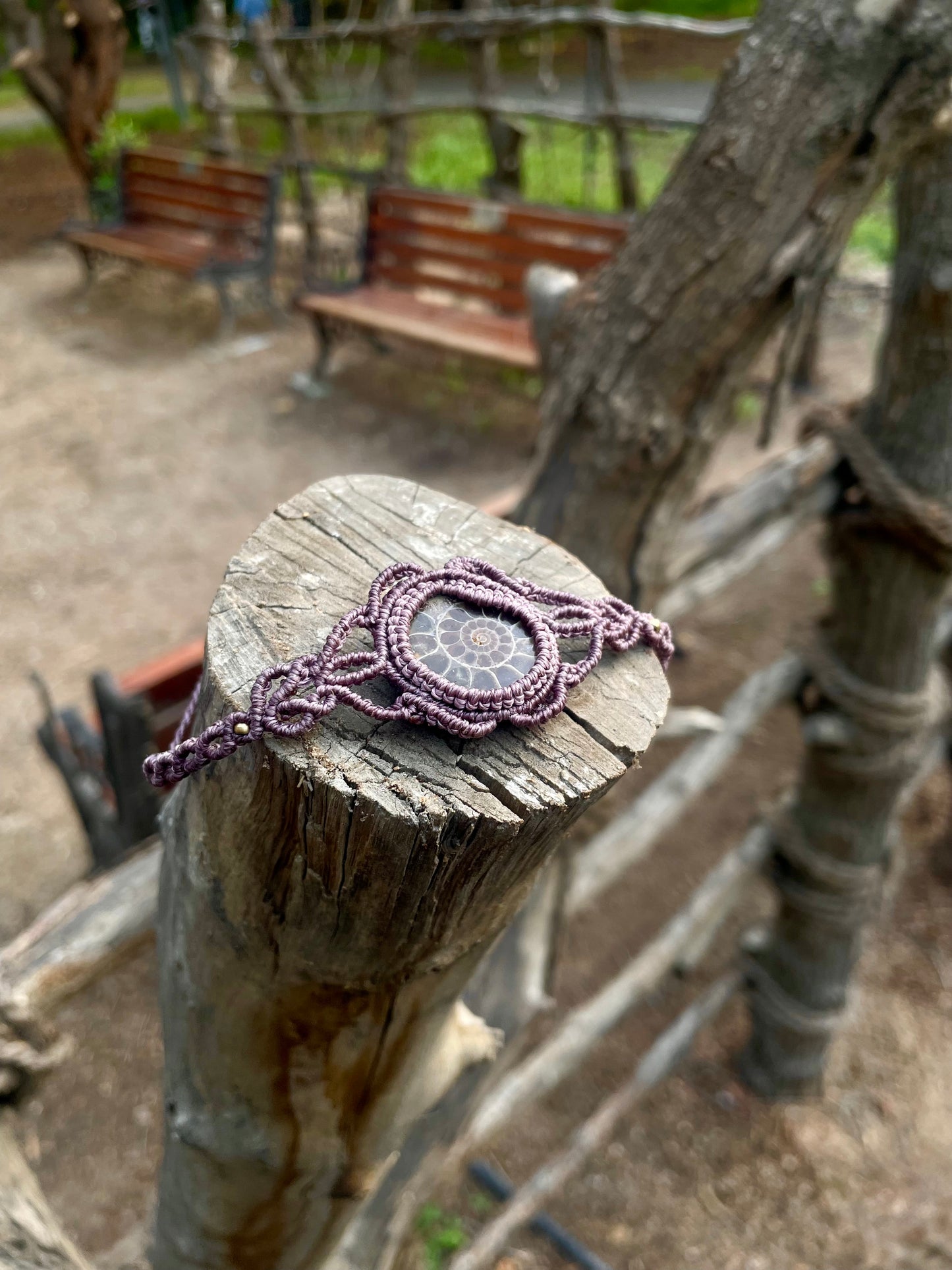 Lila | Ammonite Macrame Bracelet