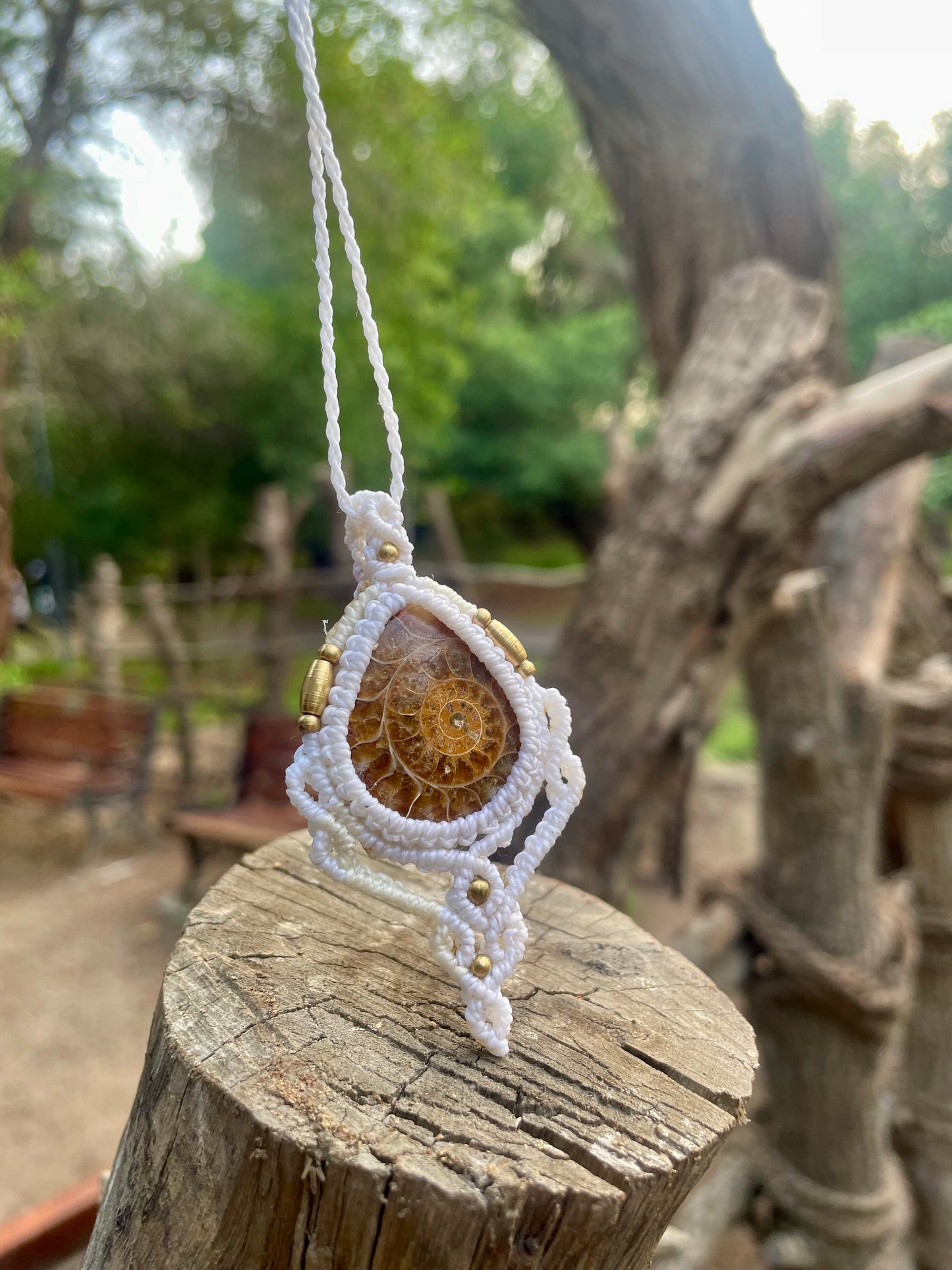 Lina | Ammonite Macrame Necklace
