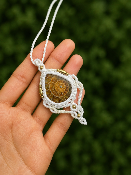 Lina | Ammonite Macrame Necklace